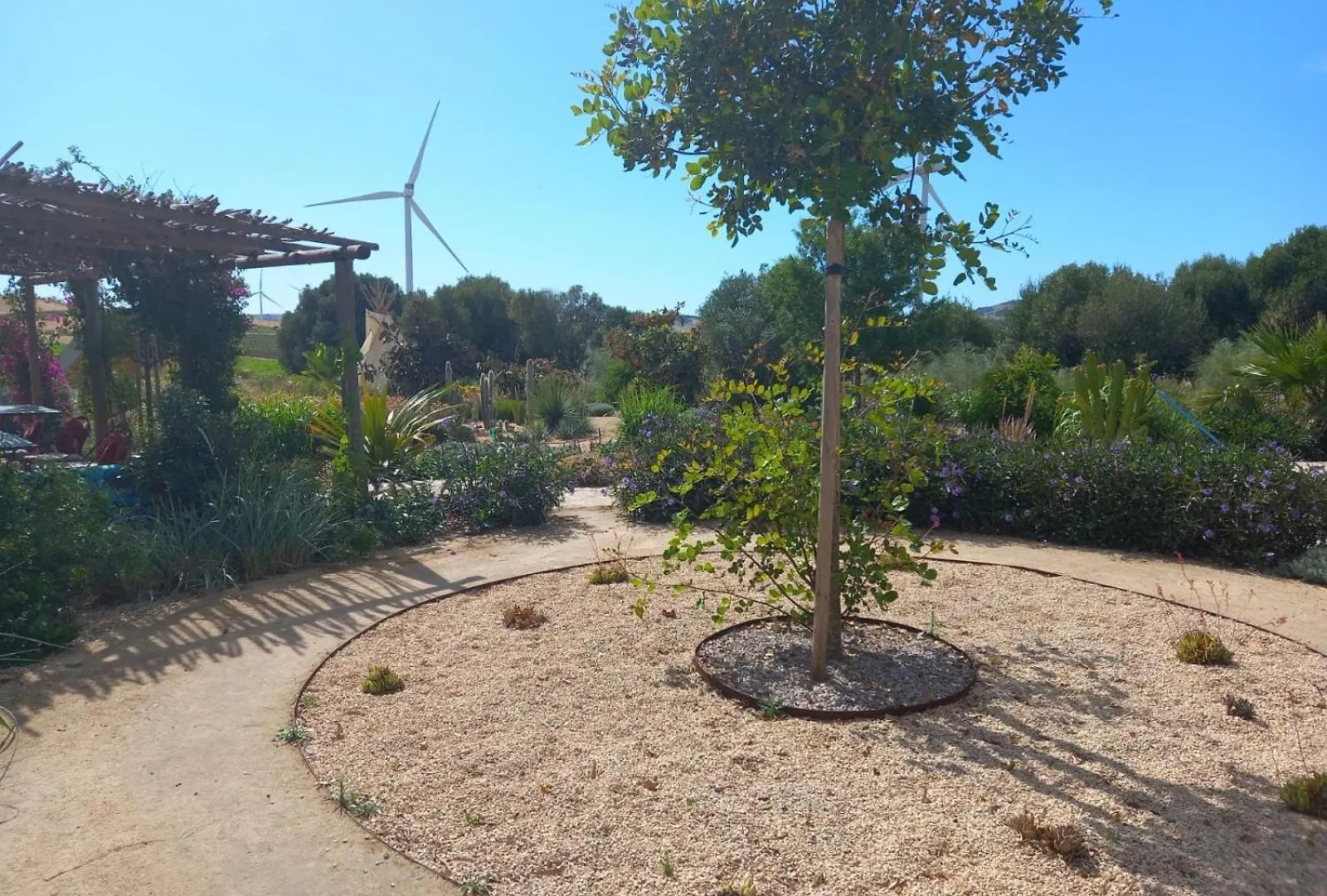 Hotel Milagro De Algar à Vejer de la Frontera Maison d'hôtes